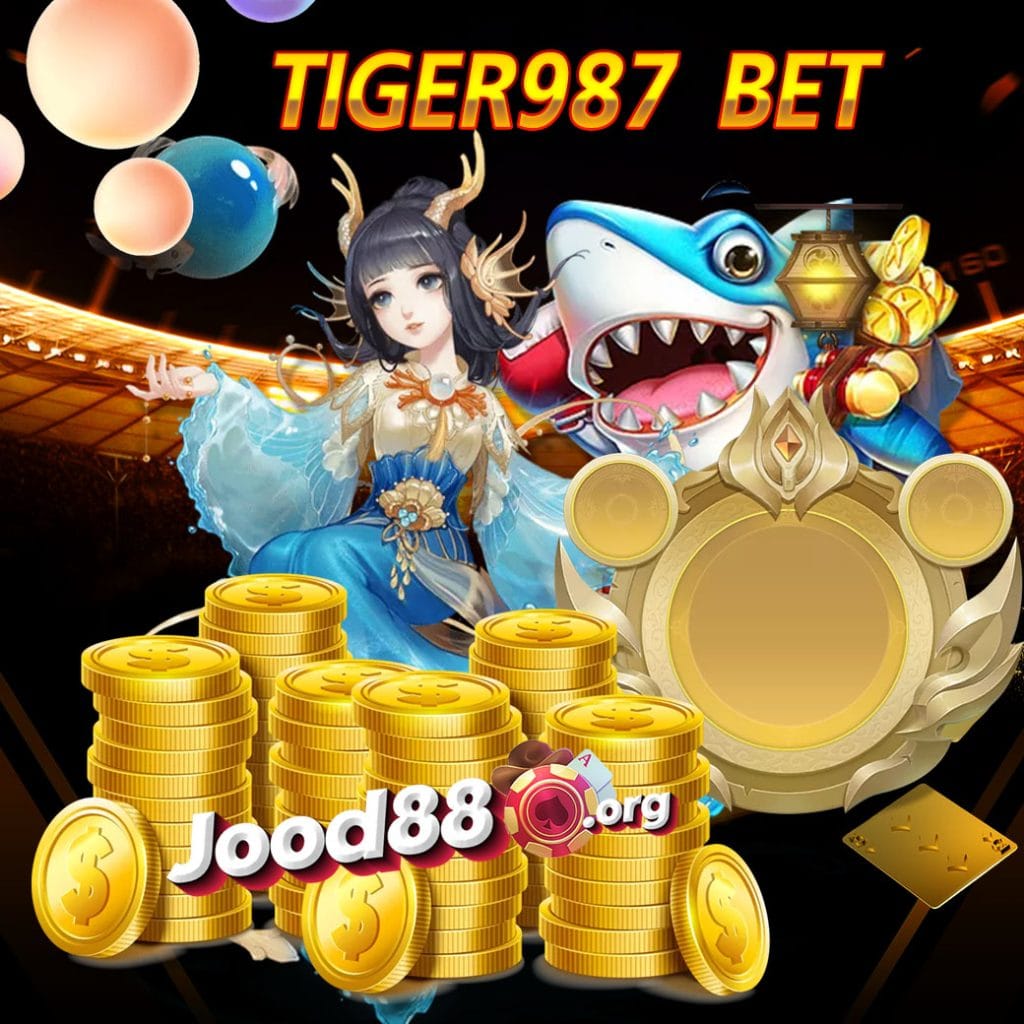 tiger987 bet